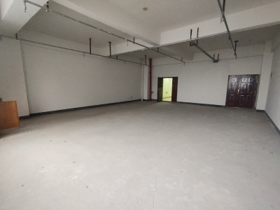 润地商业广场商业街店铺西毛坯真实好房