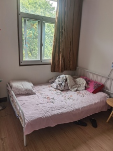 杨家巷长航宿舍楼 2室1厅1卫 1,200元/月 南北通透,业主急售,性价比高