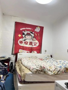 安徽二水扬子山小区