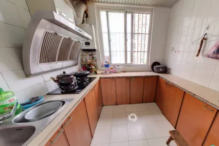 新时代商业街5房及以上南中装真实好房