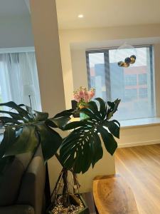 碧桂园镜湖世家