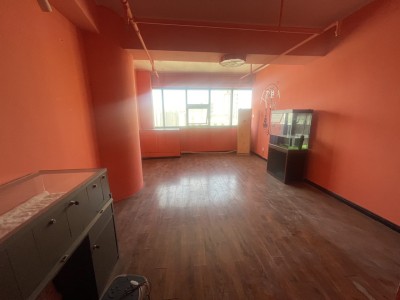 摩根100 1室1厅1卫 1,500元/月 南北通透