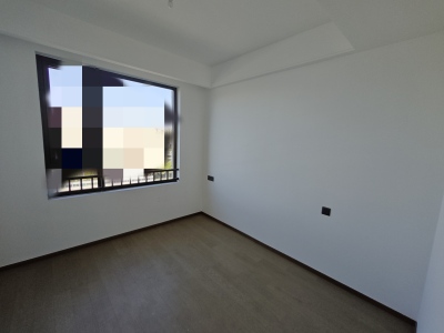 伟星大家玖都荟