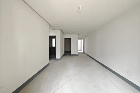 铂悦滨江2室2厅1卫南毛坯真实好房