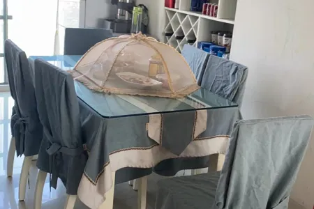 巢湖城市之光四房南北精装真实好房