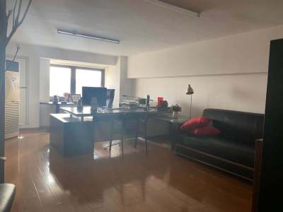 绿地新都会