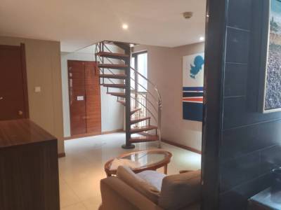 美宿金山国际公寓