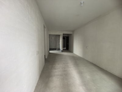 碧桂园黄金时代