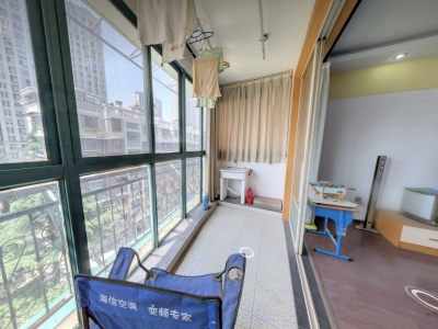 郁金香花园