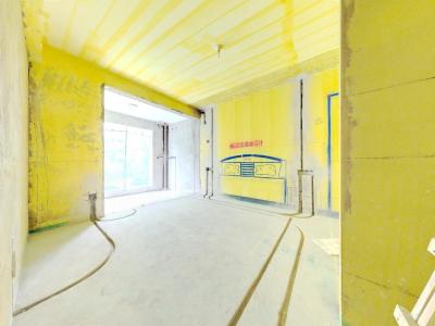 伟星公园大道北峯