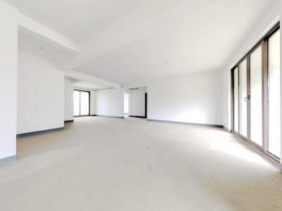 伟星公园大道北峯3室2厅2卫南北毛坯真实好房