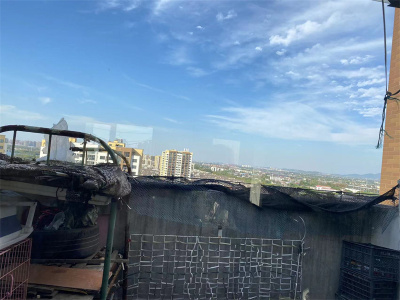 凤凰城南岛红枫轩