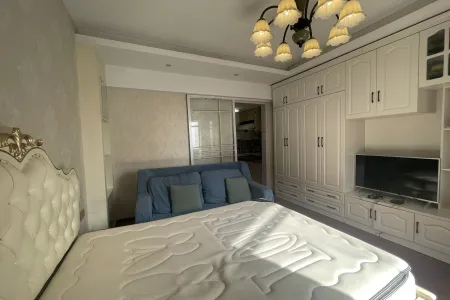 长江长现代城北区(一期) 1室1厅1卫 32.8万 采光充足