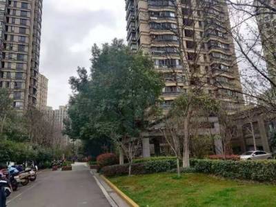 伟星左岸生活B区