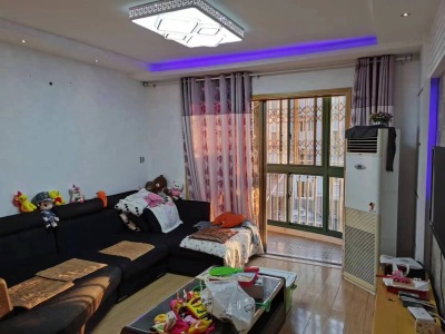 金湾新苑3房南北精装真实好房