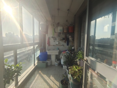 融汇锦江C区3室2厅1卫南北精装真实好房
