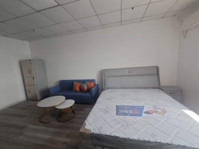 南翔万商十里洋场 1室1厅1卫 1,300元/月 南北通透