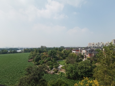 凤凰城中岛茉莉苑