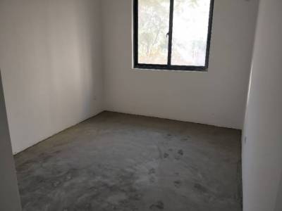 旭日天都五组团