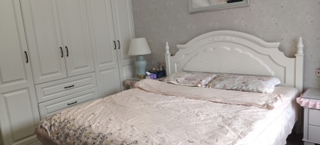 伟星公园大道北峯