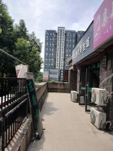 赛纳丽城