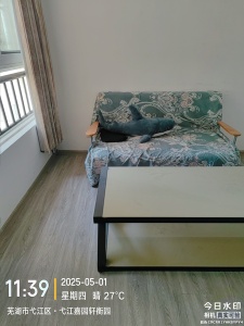 弋江嘉园二期轩衡园1室1厅1卫南北精装真实好房