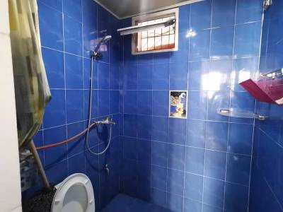 莲塘新村紫竹园