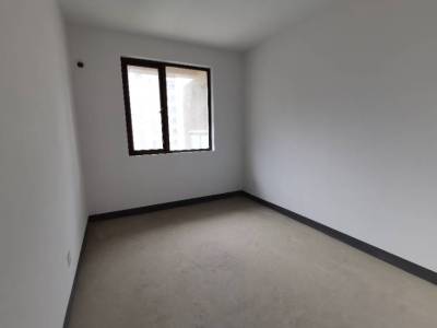 伟星公园大道北峯