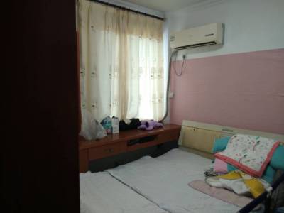 莲塘新村牡丹园