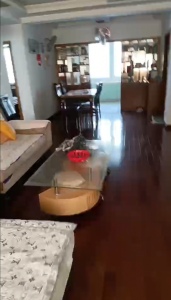 马塘新镇北吉园