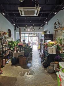 伟星公园大道壹号