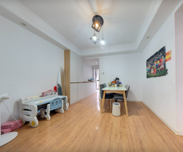 伟星公园大道北峯