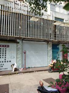 南北通透,次新小区,黄金地段,楼层好,采光很棒,性价比高