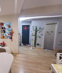 海润商苑2房南中装真实好房