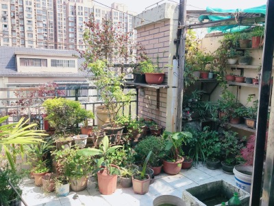 绿地6号地块B区(凯旋尚品)