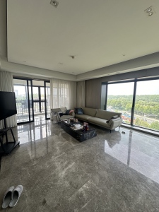 伟星印长江 5室2厅2卫 720万 南北通透,视频房