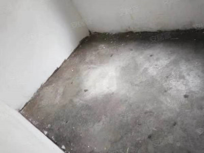 峨桥国际茶城丙