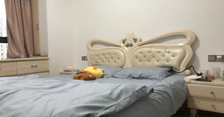 信德半岛(南区)