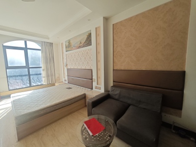 南翔万商十里洋场 1室1厅1卫 1,000元/月 南北通透,性价比高,好景观