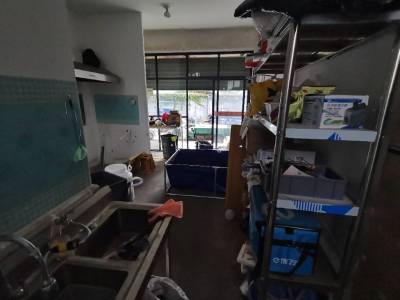 同济花园商业街店铺东毛坯真实好房
