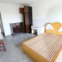 凤凰城南岛白桦轩