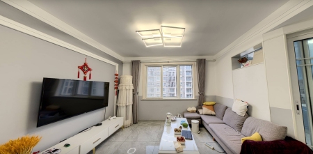 豪华装修,拎包入住,真正的地铁楼盘,升值空间无限