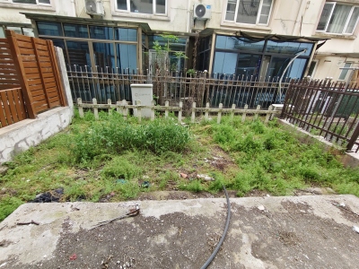 三山碧桂园翠堤春晓