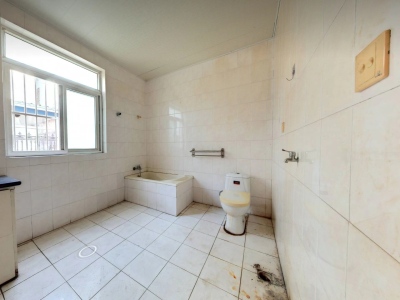 十里中心示范村四区