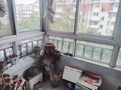 清华园