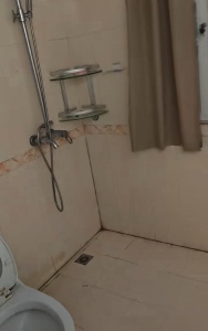 凤凰城中岛丁香苑