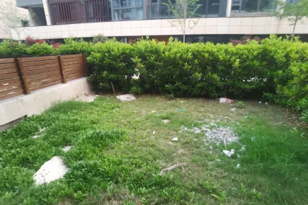 安展蔚然家园独栋南毛坯真实好房