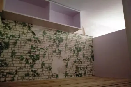 东方新世界(C区)1房北精装真实好房