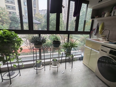 伟星公园大道北峯