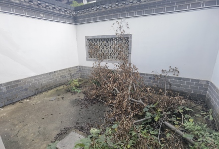 新华联鸠兹古镇